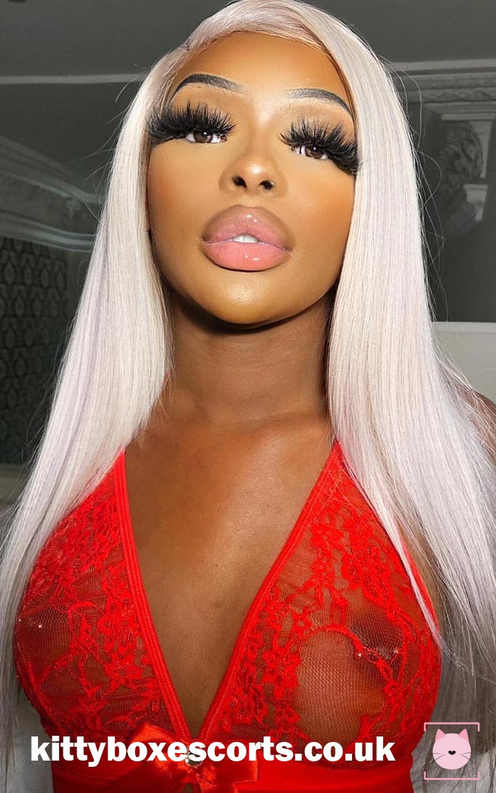 Noir Barbie